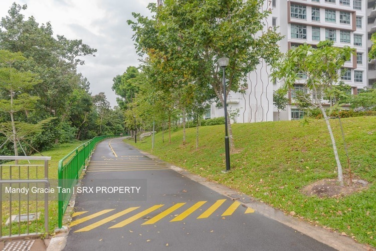 Blk 477A Upper Serangoon View (Hougang), HDB 5 Rooms #205533671